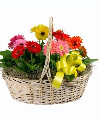 Gaithersburg Florist & Gifts Baskets