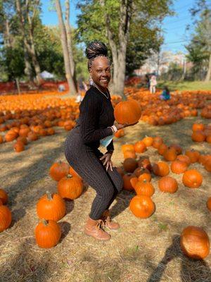 Pumpkin patch