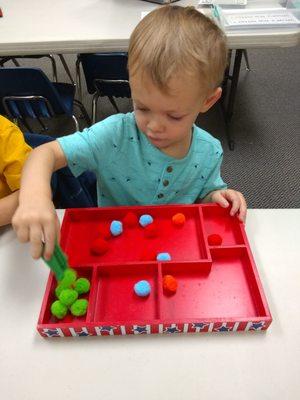 Tweezer sorting for fine motor.