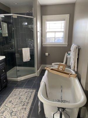 Beautiful shower and tub