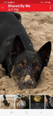 Just a little fun in the sand