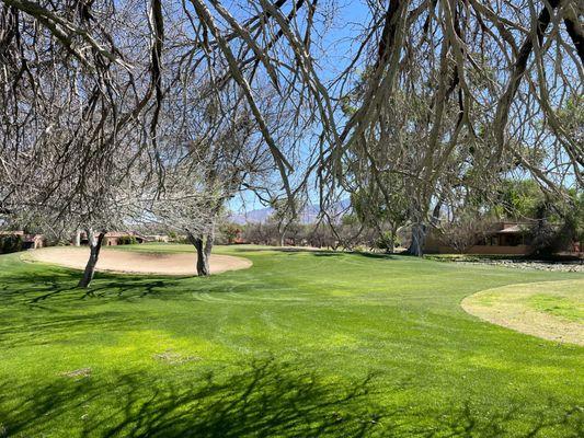 8th Green - Otero