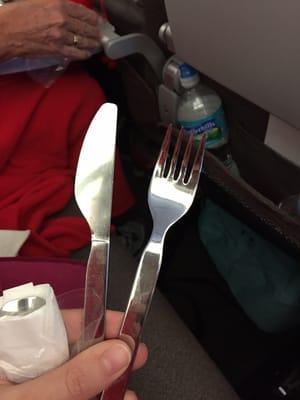 When's the last time you saw real silverware in economy???