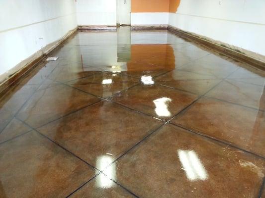 Phoenix stain concrete floor.