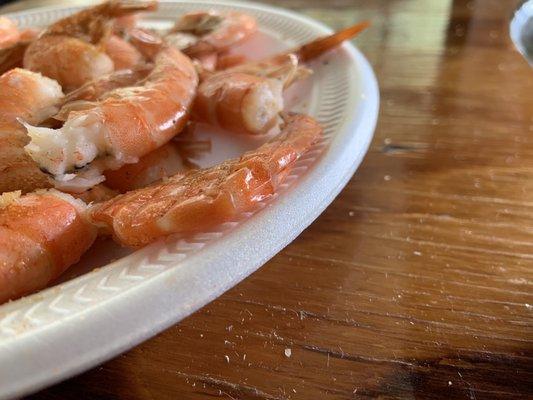 Flat shrimp- disgusting