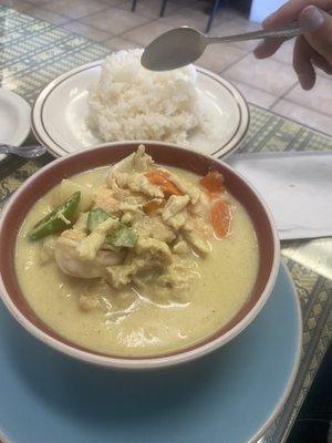 Yellow curry dinner size