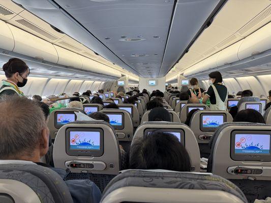 Economy seating in their Boeing 787, with 3 x 4 x 3 layout.