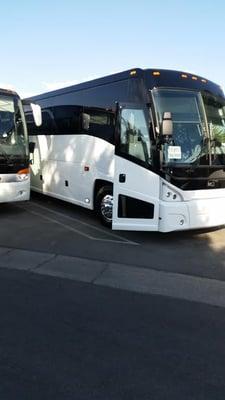 2015 Mercedes and MCI Luxury coaches.