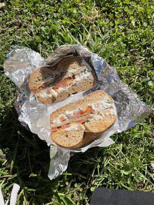 Tofu Scallion, Tomato and Sausage on a whole wheat bagel!