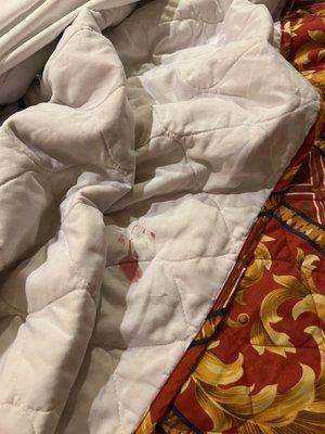 Bloodstain on comforter