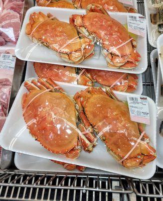 Dungeness Crab