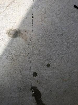 This crack is now a whole 1/4" wide! We had little plants growing from it!