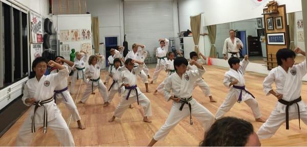 Youth Karate Training (Intermediate Level)