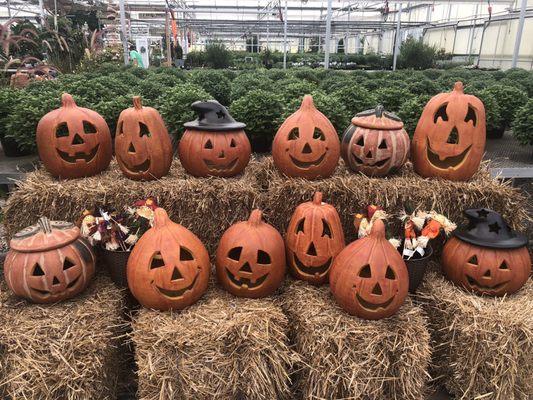 Aren't these just the cutest??? Terra-cotta pumpkin heads are safer and eco friendly for use every year!