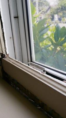 Rotted kitchen window sill.