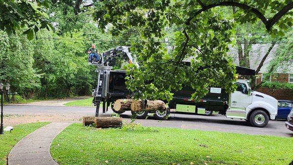 Allen & Sons Tree Service