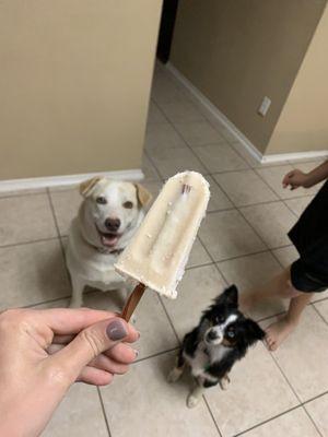 Dog popsicles