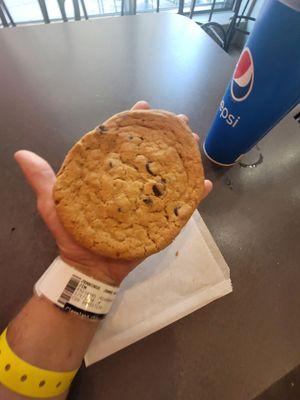 Huge choc chip cookie for $2