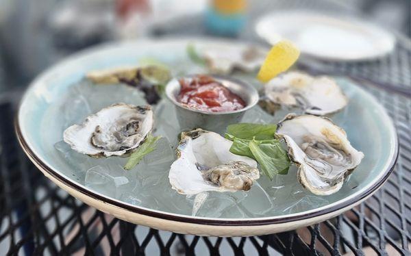 Raw Oysters