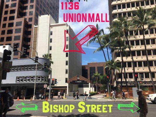 Union Plaza Bldg.
 from Bishop St.