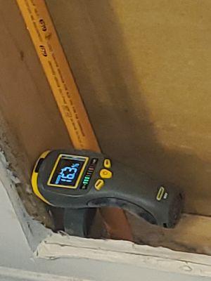 moisture meter reading (standard acceptable is 12% or less)