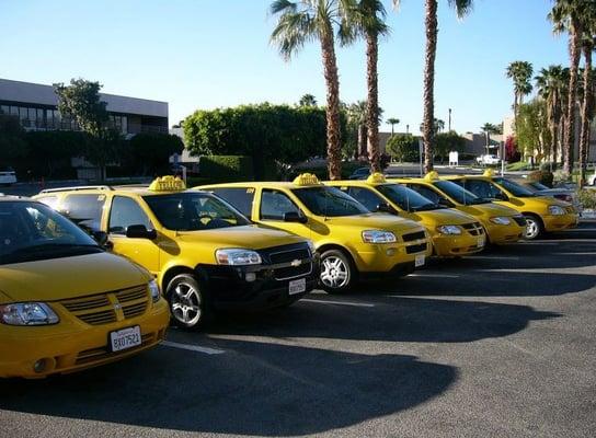 Yellow Cab of the Desert