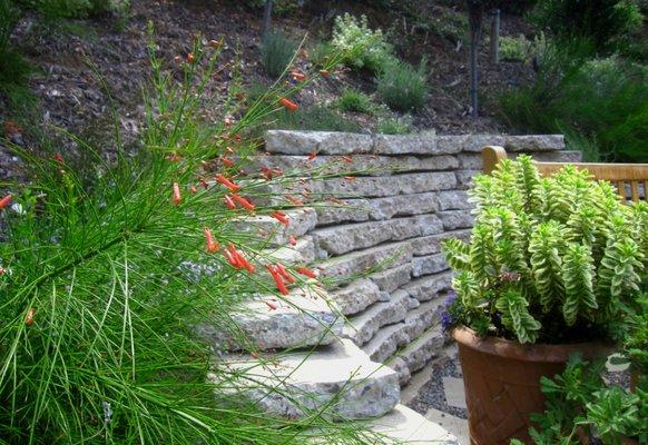 Glendale - A retaining wall of dry concrete flagstone takes advantage of the hillside to provide a place to sit and relax in the shade.