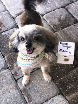 Princess and homemade treats