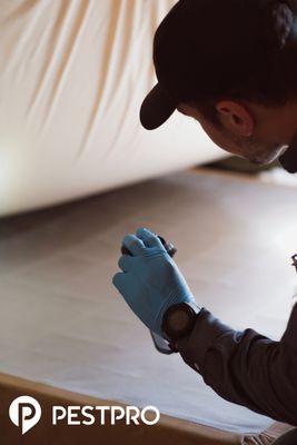 A Pest Pro technician inspecting for bed bugs.