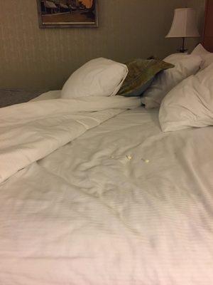 Turn down —— ate popcorn in bed, they decided, fine, sleep w/ it. Pictures don’t lie. Unbelievable!!!!! Enlarge if necessary.