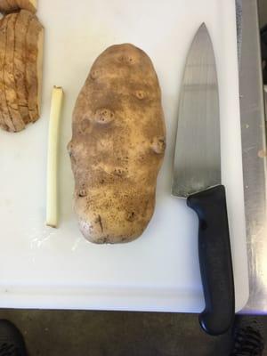 I asked to see the potatoes that are used to make the fresh cut fries and was blown away how huge they were! As big as the chef's knife.