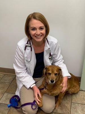 Diagnostics:  Complete in-house laboratory to screen for Heartworm and Lyme disease as well as evaluation of blood cells, etc.