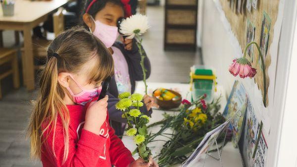 Pre-K students exploring a plant life cycle exhibit.