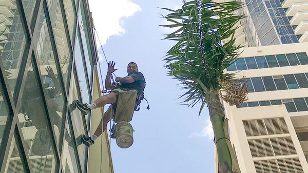 Rope access window cleaning.