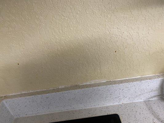 Wall behind the burner plate in the kitchenette with spaghetti sauce and grease!!!