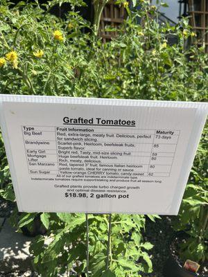 Tomato info