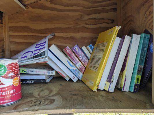 Little Free Library, Kenosha