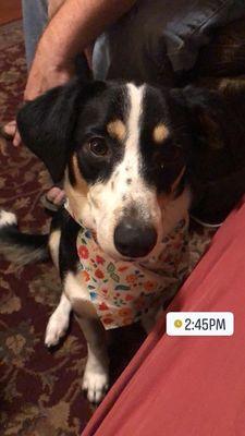 Katie looking fine in her bandana