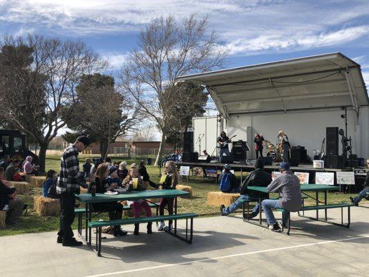 70th Annual Almond Blossom Festival (every March)