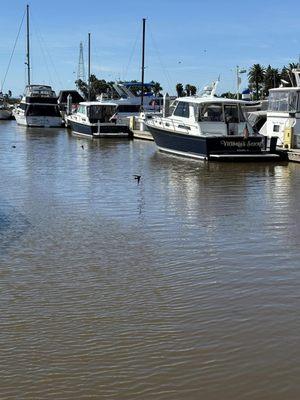 Solano YC Cruise