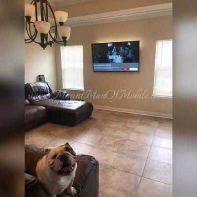 Our buddy Tonka pictured here relaxing on the couch was very pleased with the end result of the installation of his 65" Samsung TV!