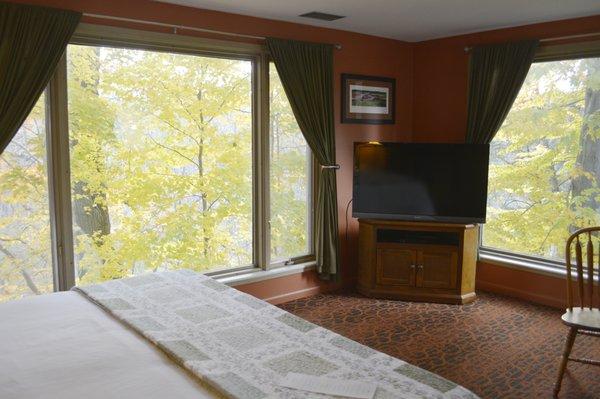 Room #1 Looks like you are in the treetops!