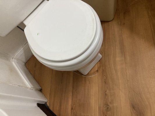 The ring of gross where the old differently shaped toilet used to sit