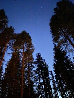 View of the starry night sky above the site