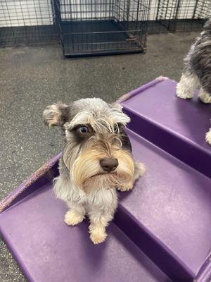 marty at daycare