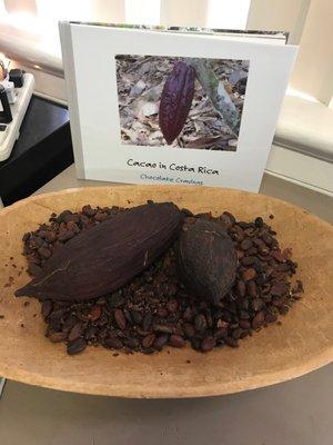 Cacao beans