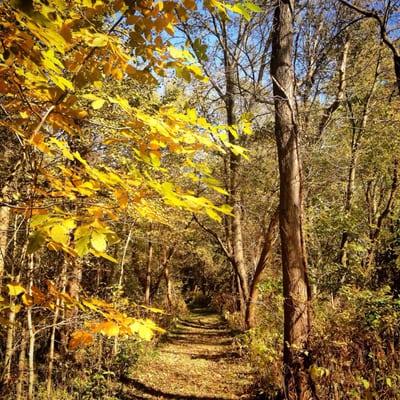 Pecatonica River Forest Preserve