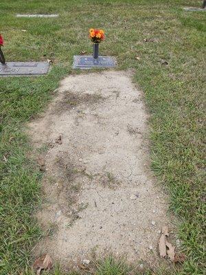 My mother's grave site almost a year and a 1/2 after she was buried.