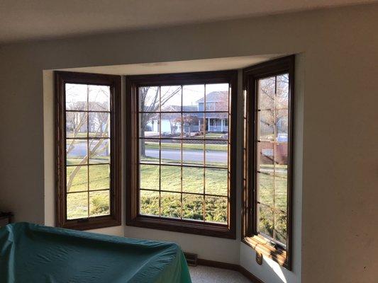 Pella windows