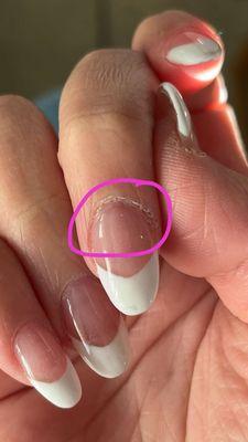 Horrible cuticle, too thick tip.